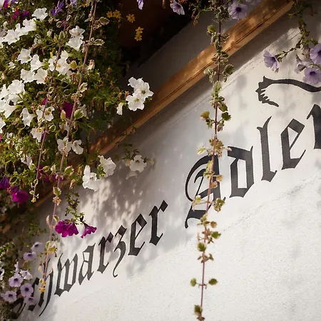 Schwarzer Adler