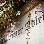 Schwarzer Adler